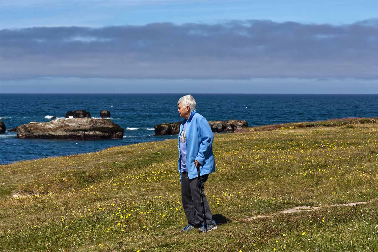 Resident Walking in Grass Looking at Sea