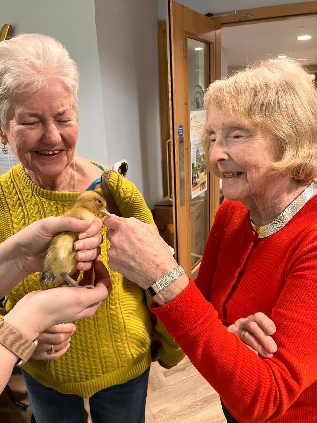 older ladies holding duckling