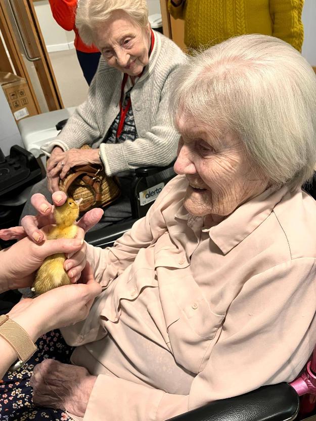 two older ladies sat down holding a duckling